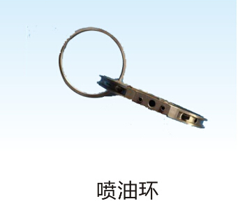 噴油環